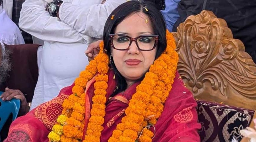 বরাদ্দের ৫০ ভাগ এমপিরা পকেটে রাখেন: রুমিন ফারহানা