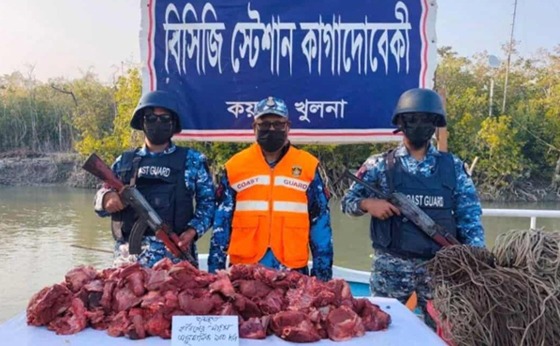 সুন্দরবনে ১শ’ কেজি হরিণের মাংস ও ৪ হাজার মিটার ফাঁদ জব্দ