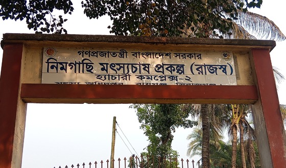 রায়গঞ্জে সরকারি পুকুরের মাটি  বিক্রি