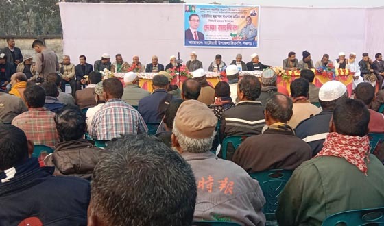 পঞ্চগড়-১ আসনে ধানের শীষের প্রচারণা শুরু