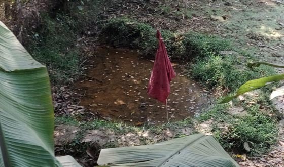 কমলগঞ্জে পরিত্যক্ত গ্রেনেড উদ্ধার