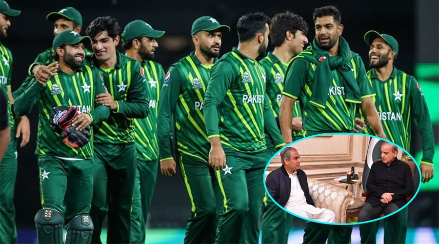 পাকিস্তান বিশ্বকাপে খেলবে কি না—সিদ্ধান্ত এক সপ্তাহের মধ্যে: শেহবাজ-নাকভি বৈঠক