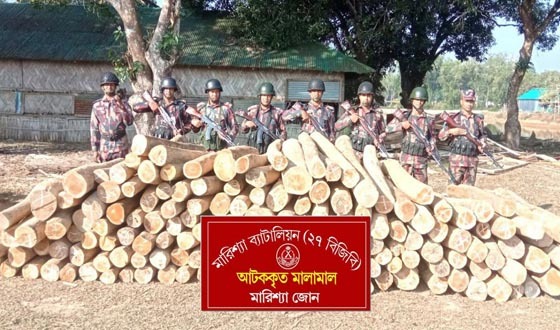 বাঘাইছড়িতে বিজিবির অভিযানে সেগুন কাঠ জব্দ