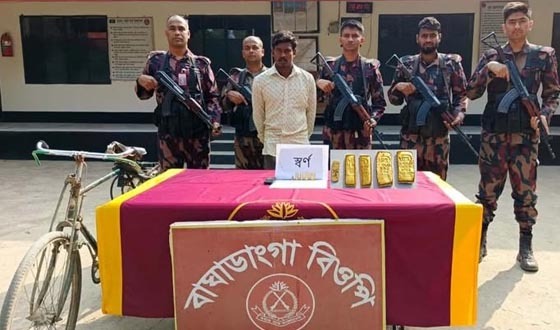 মহেশপুর সীমান্তে সাড়ে ৭৭ লাখ টাকার সোনাসহ আটক ১