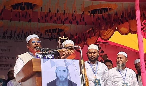 এবার দাঁড়িপাল্লাকে সুযোগ দিতে হবে: গোলাম পরোয়ার