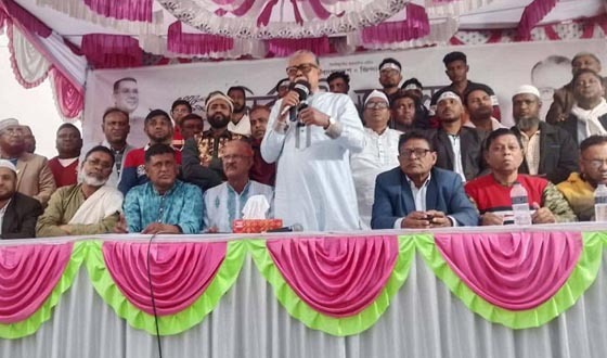 সখিপুরে বিএনপির নির্বাচনী জনসভায় আব্দুর রউফ