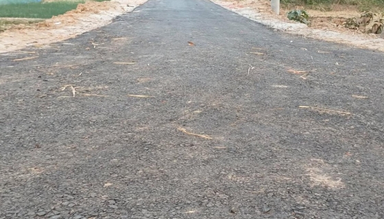 তানোরে কোটি টাকার গ্রামীণ রাস্তা নির্মাণে অনিয়ম-দূর্নীতি