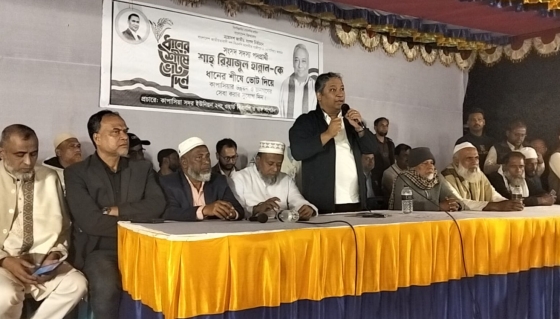 ধানের শীষে ভোট দিয়ে শান্তি, সম্প্রীতি ও উন্নয়নে শরিক হন:  রিয়াজুল