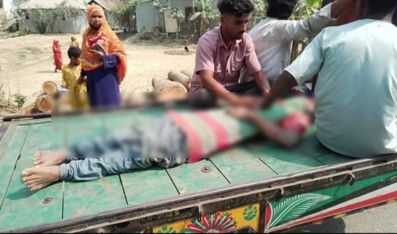 গফরগাঁওয়ে লড়িচাপায় টমটম চালক নিহত