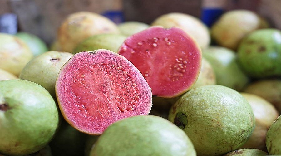 পেয়ারার যত স্বাস্থ্য উপকারিতা