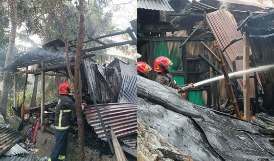 মতলবে ভয়াবহ অগ্নিকাণ্ডে বসতঘর পুড়ে ছাই