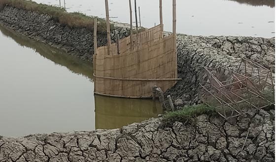 আশাশুনির ডাসেরআটিতে মৎস্য ঘের জবর দখল, থানায় অভিযোগ