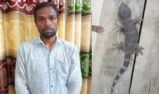 দেবহাটায় তক্ষকসহ ১ জন আটক, থানায় মামলা