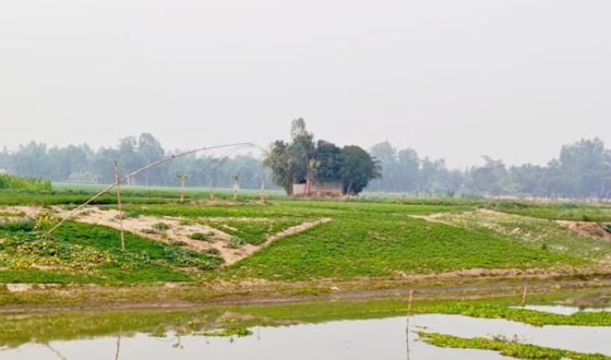 ভোগাইয়ের জেগে ওঠা চরে সবুজ স্বপ্ন বুনছেন কৃষকরা