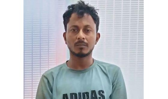 সেনবাগে  ইয়াবাসহ মাদক কারবারি গ্রেফতার