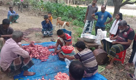 বাঘায় ঈদে মাংস খাওয়া সমিতির সদস্যরা ভাগ করে নিচ্ছেন মাংস
