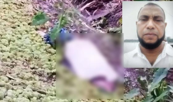 হাত-পা বাঁধা ব্যবসায়ীর লাশ উদ্ধার