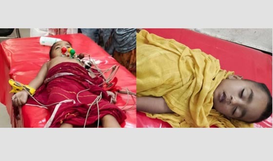 নানা বাড়িতে বেড়াতে এসে প্রাণ গেল দুই ভাইয়ের