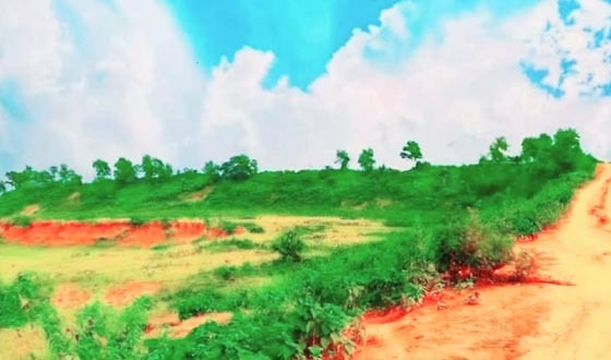 মাইধারচালার পাহাড়ে চা বাগান ও পর্যটনের বিপুল সম্ভাবনা