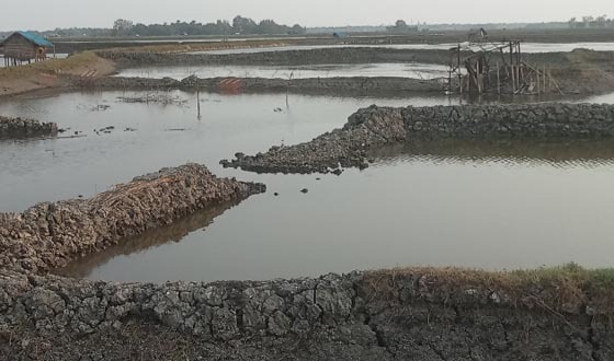 আশাশুনিতে মৎস্য ঘেরের বাঁধ কেটে একাকার, বাসায় আগুন