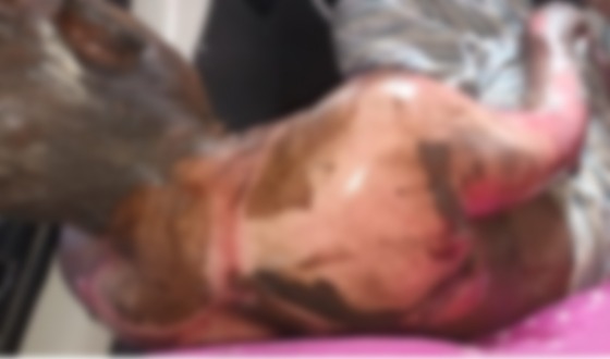 সাঁথিয়ায় আগুনে পুড়ে যাওয়া আহত নুহু আলীর মৃত্যু