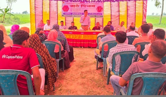 সুজানগরে মিষ্টি আলু ফসলের মাঠ দিবস