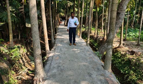 ইউপি সদস্যের জালিয়াতি, সরকারী ইট দিয়ে নিজ বাড়ির রাস্তা তৈরি