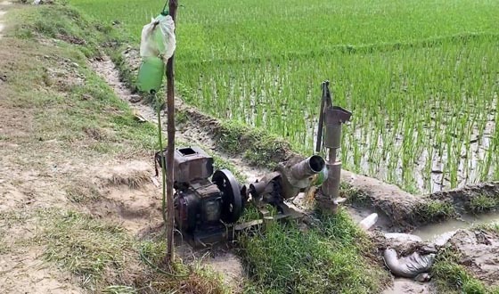 শেরপুরে ডিজেল সংকট, ফলন বিপর্যয়ের আশঙ্কা