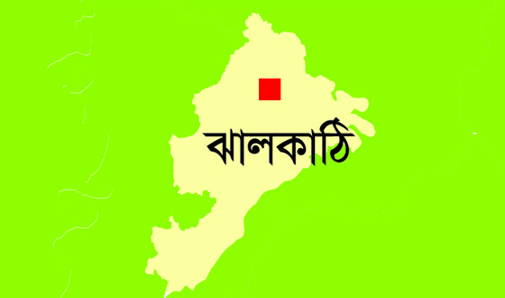 ঝালকাঠিতে কৃষি উদ্যোক্তা বাছাইয়ে কর্মশালা