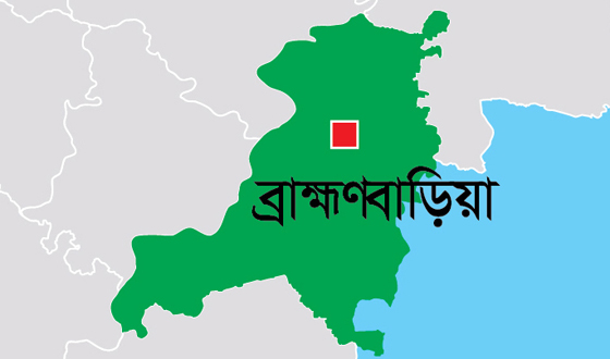 ব্রাহ্মণবাড়িয়া-২ আসনে বিএনপি দলীয় প্রার্থী চান নেতাকর্মীরা