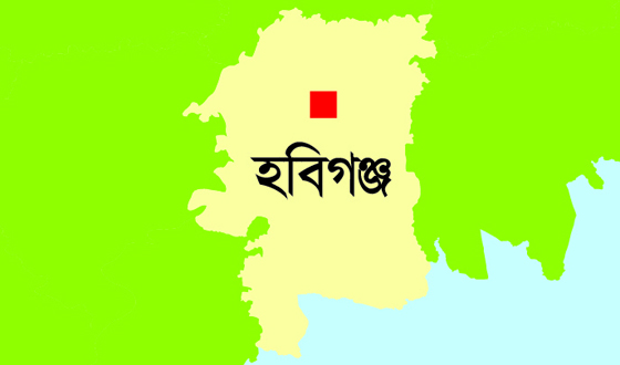 মাধবপুরে বিএনপির প্রার্থী এস.এম ফয়সলের লিফলেট বিতরণ