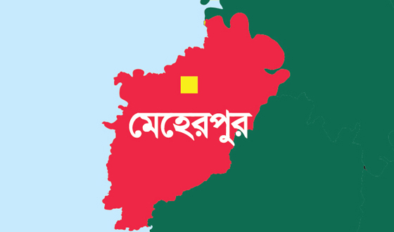 মেহেরপুরে বিলে শাপলা তুলতে গিয়ে ৪ স্কুলশিক্ষার্থীর মর্মান্তিক মৃত্যু