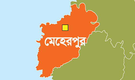 মেহেরপুরে বিলে শাপলা তুলতে গিয়ে ৪ স্কুলশিক্ষার্থীর মর্মান্তিক মৃত্যু