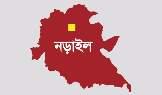 নড়াগাতীতে সড়ক দুর্ঘটনায় মোটরসাইকেল আরোহী নিহত